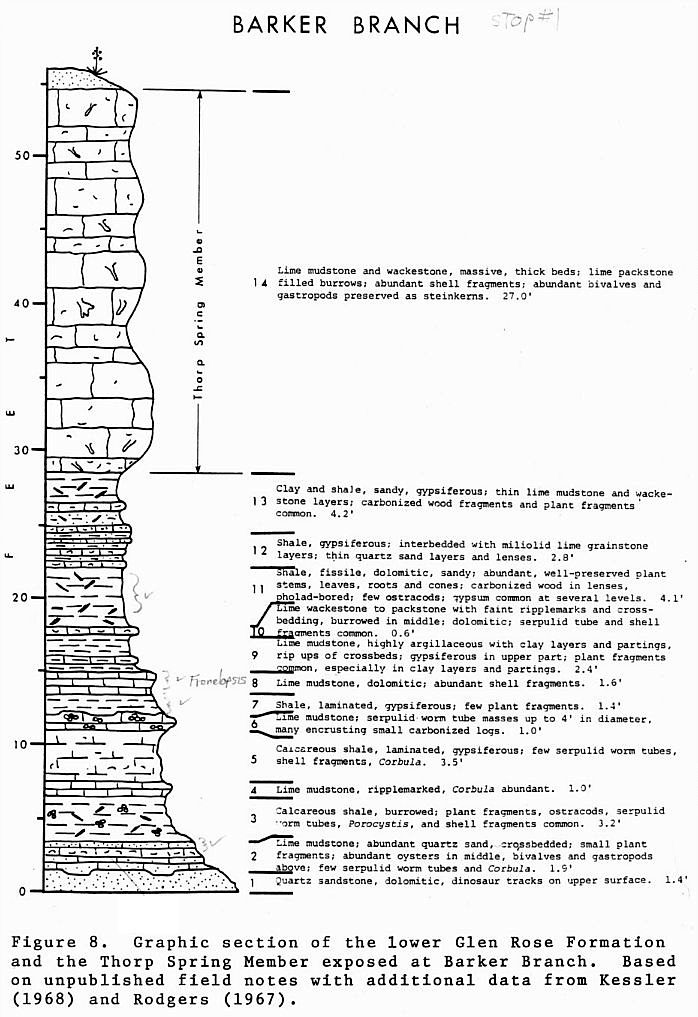 figure08.JPG (232635 bytes)