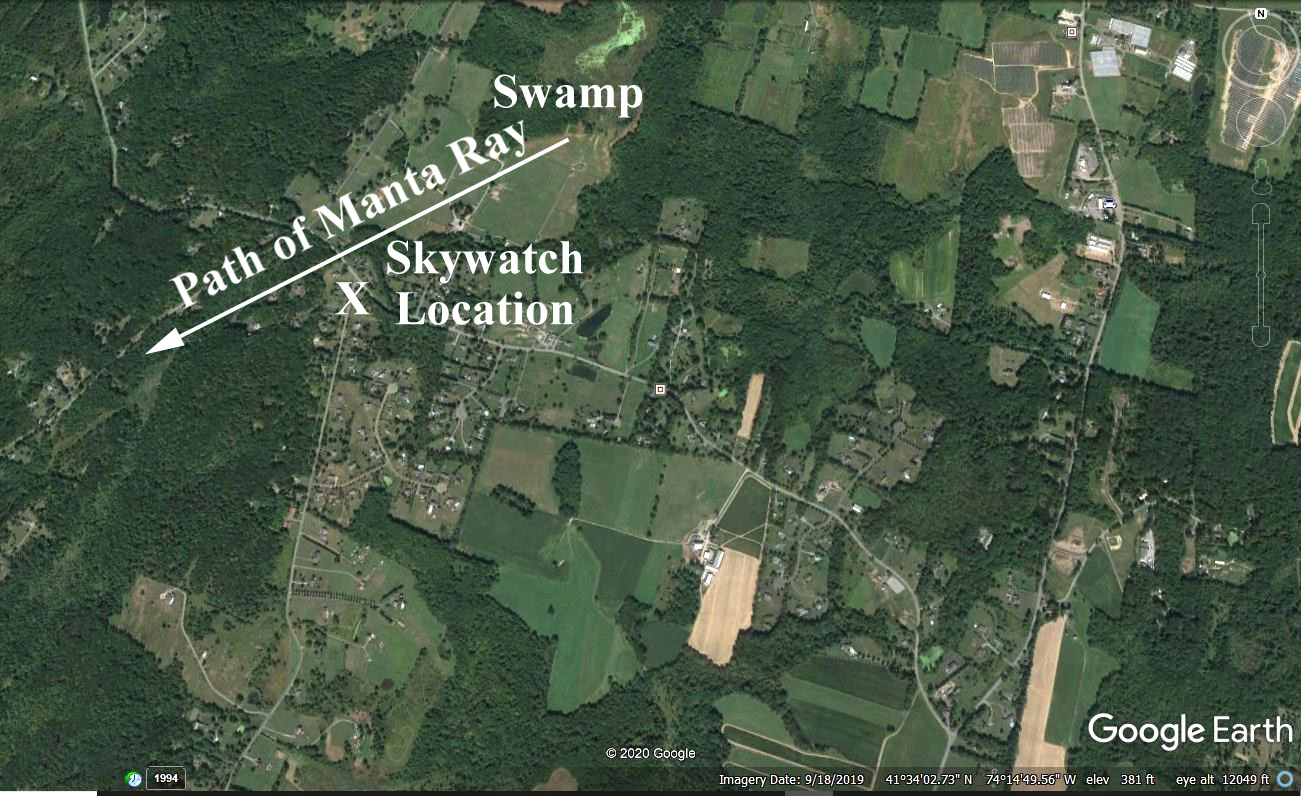 Swamp Location 1994
