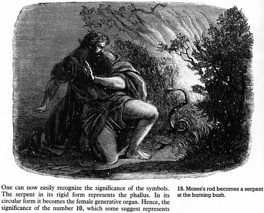 snakstk.jpg (87599 bytes)