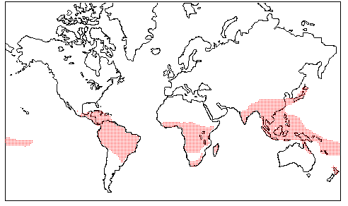 http://www.science.siu.edu/parasitic-plants/Balanophoraceae/Map-Balanophoraceae.gif (6669 bytes)