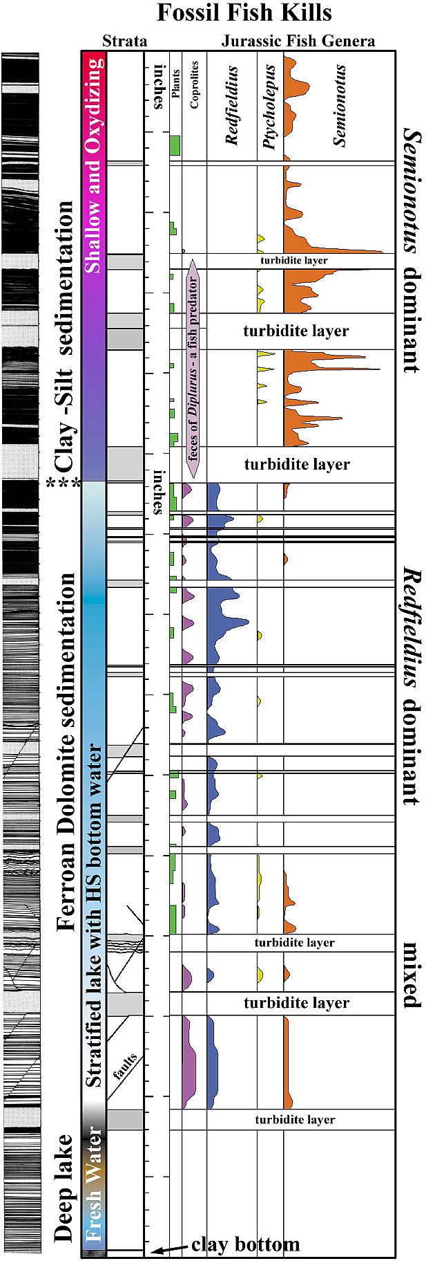 fishcht5.jpg (226926 bytes)