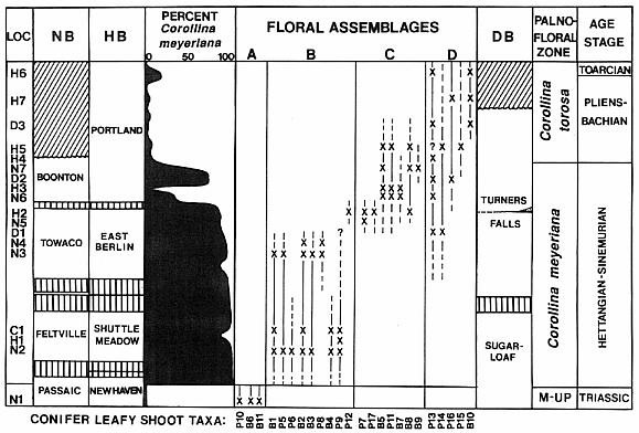 taxagra01.jpg (54584 bytes)