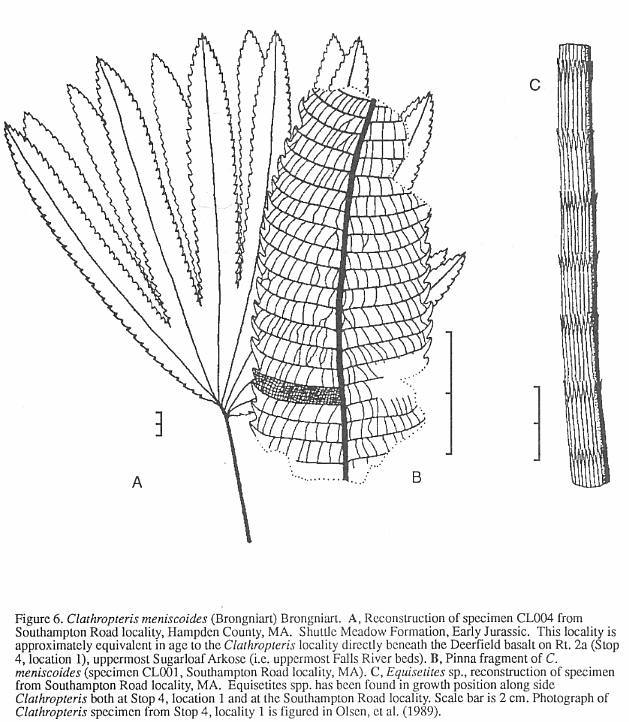 sFig06.jpg (90437 bytes)