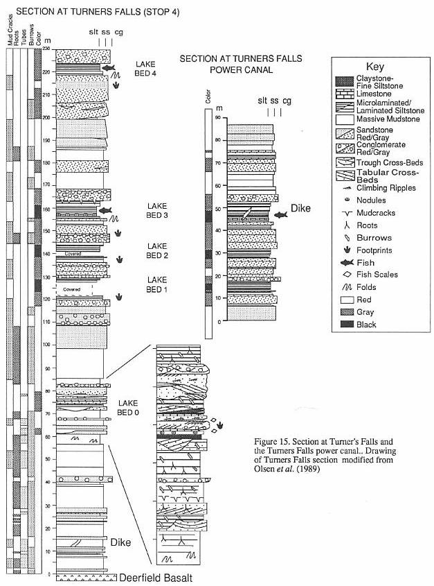 sFig15.jpg (98017 bytes)