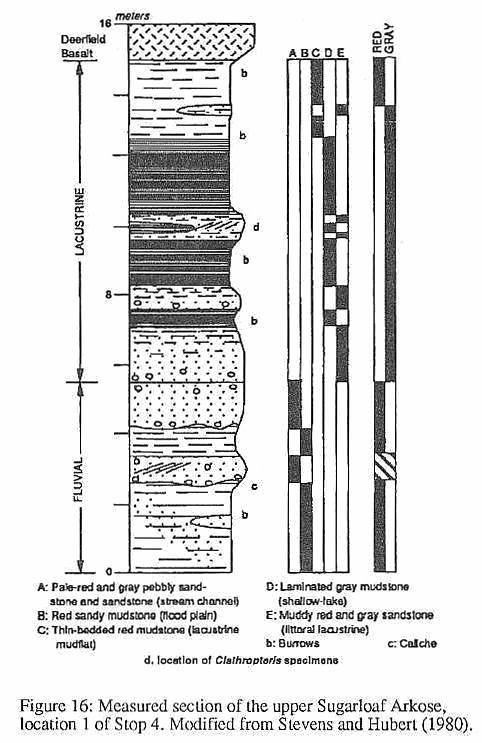 sFig16.jpg (63729 bytes)