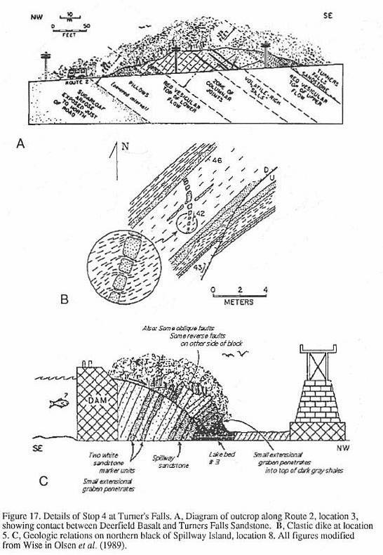 sFig17.jpg (84896 bytes)