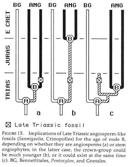 Fig15a-c.jpg (43171 bytes)