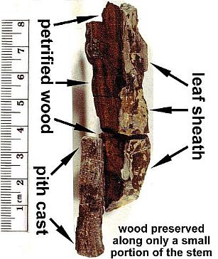 Sstemwood2.jpg (30196 bytes)