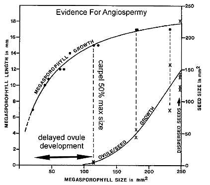 bmsfig06b.jpg (23247 bytes)