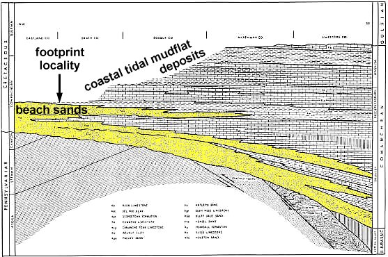 figure-6b.jpg (83906 bytes)