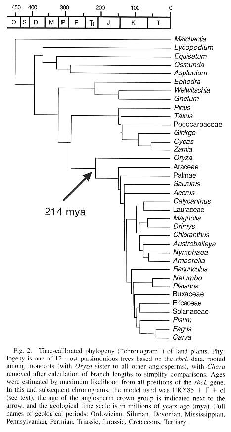 Fig02b.jpg (66400 bytes)