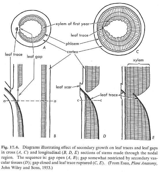 gapclose2.jpg (65639 bytes)