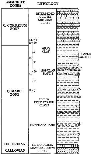 Fig_2.jpg (79942 bytes)