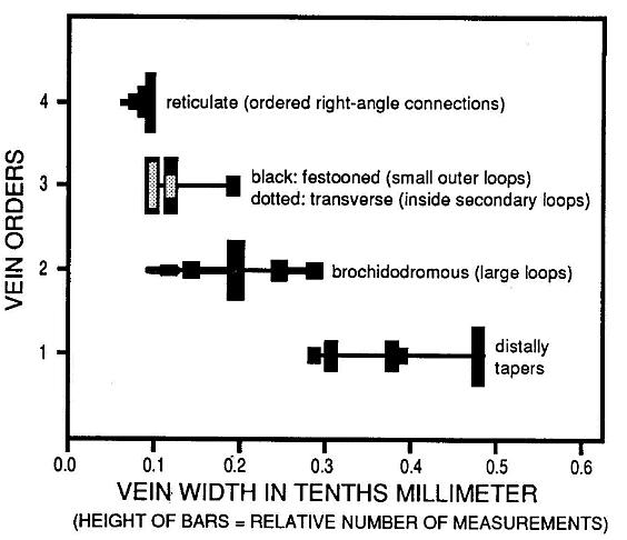 Fig_5b.jpg (40353 bytes)