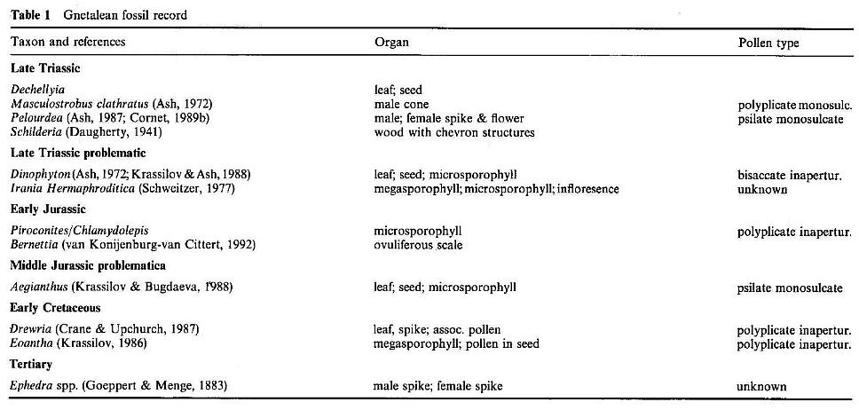 Table_1b.jpg (72089 bytes)