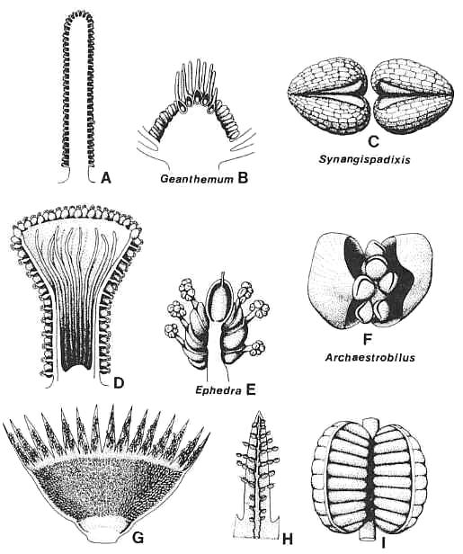 Fig345b.jpg (67411 bytes)