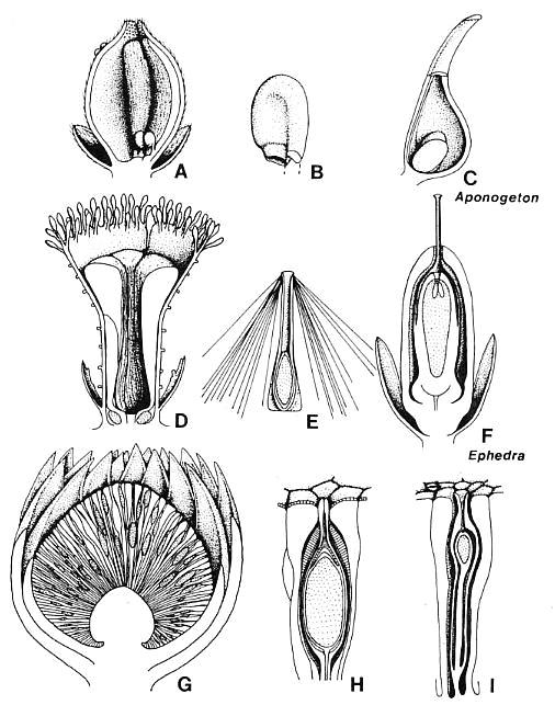 Fig346b.jpg (68089 bytes)