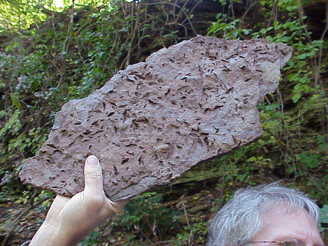 HBhoppercasts.JPG (97351 bytes)
