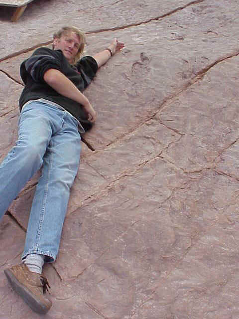 bodyimpression01.JPG (58276 bytes)