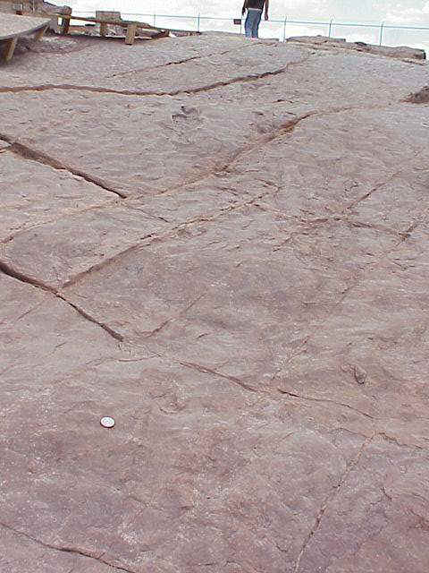bodyimpression02.JPG (50192 bytes)