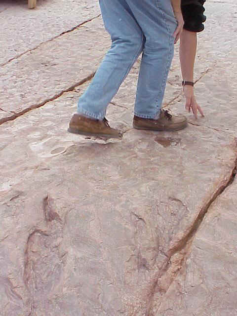 bodyimpression04.JPG (59597 bytes)