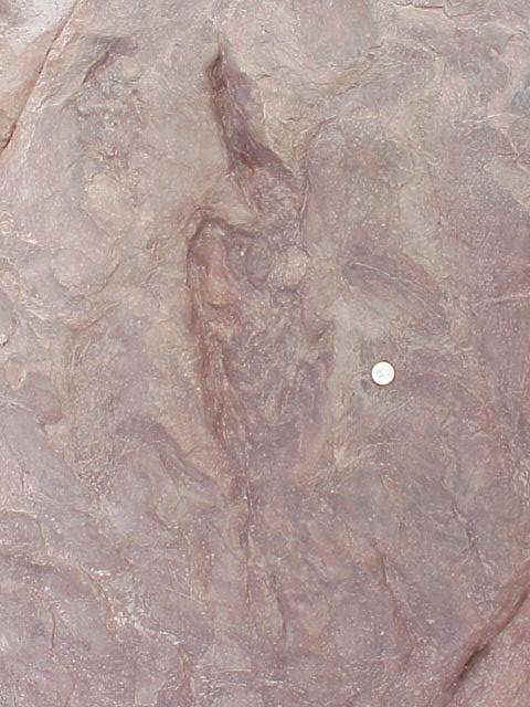 bodyimpression05.JPG (49373 bytes)
