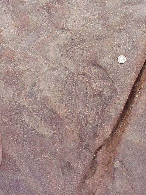 bodyimpression06.JPG (53688 bytes)