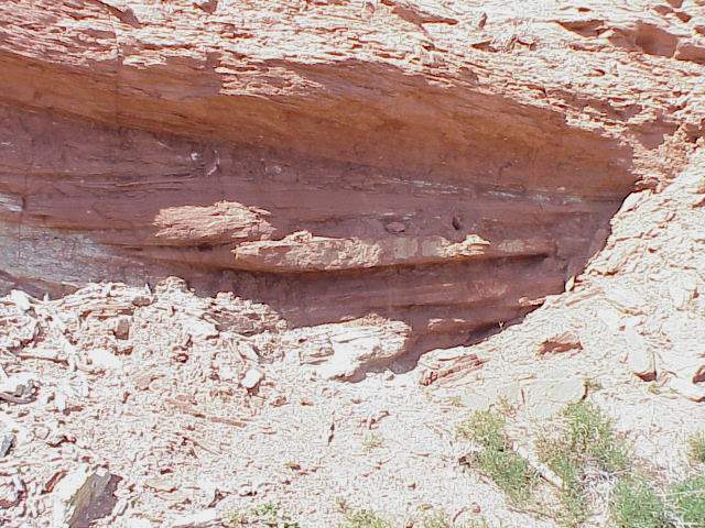 channelSS02.JPG (74470 bytes)