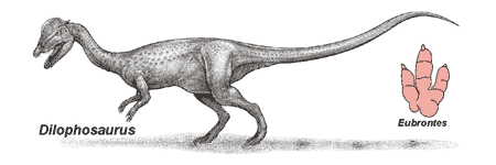 dinosaur1.gif (13025 bytes)
