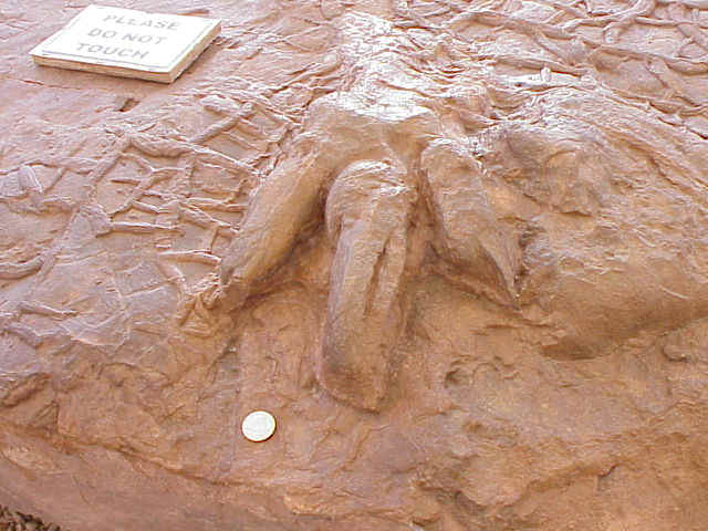 dinotrack02b.JPG (81615 bytes)