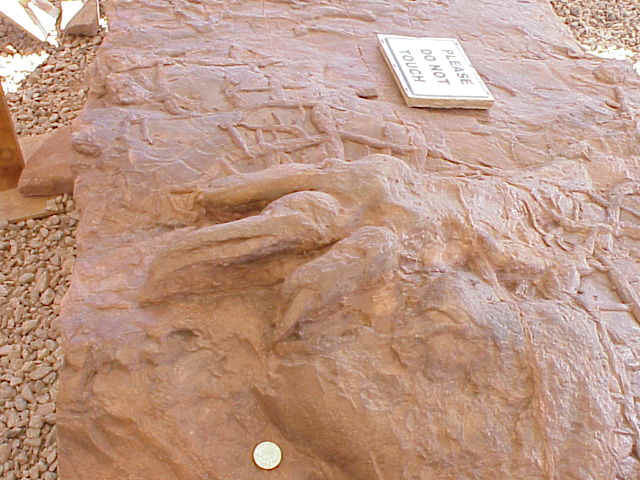 dinotrack03.JPG (80392 bytes)