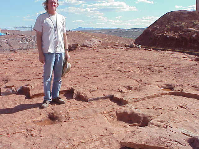 sauropodtracks.JPG (86749 bytes)