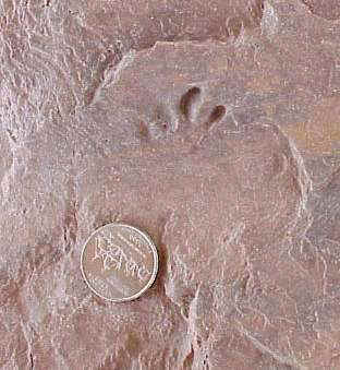 tinytrack03.JPG (19816 bytes)