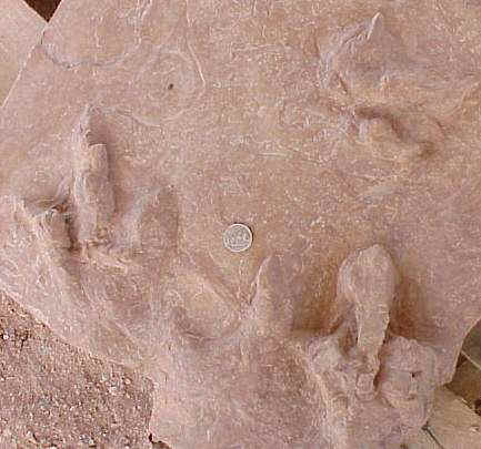 twotracks.JPG (27088 bytes)