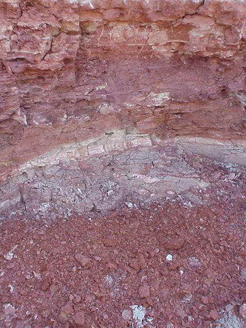 volcanicash.JPG (64689 bytes)