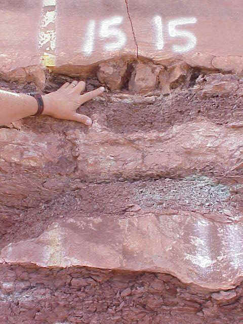 xsect_of_footprint.JPG (64486 bytes)