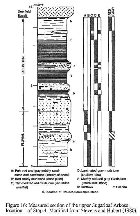 sFig16.jpg (63729 bytes)