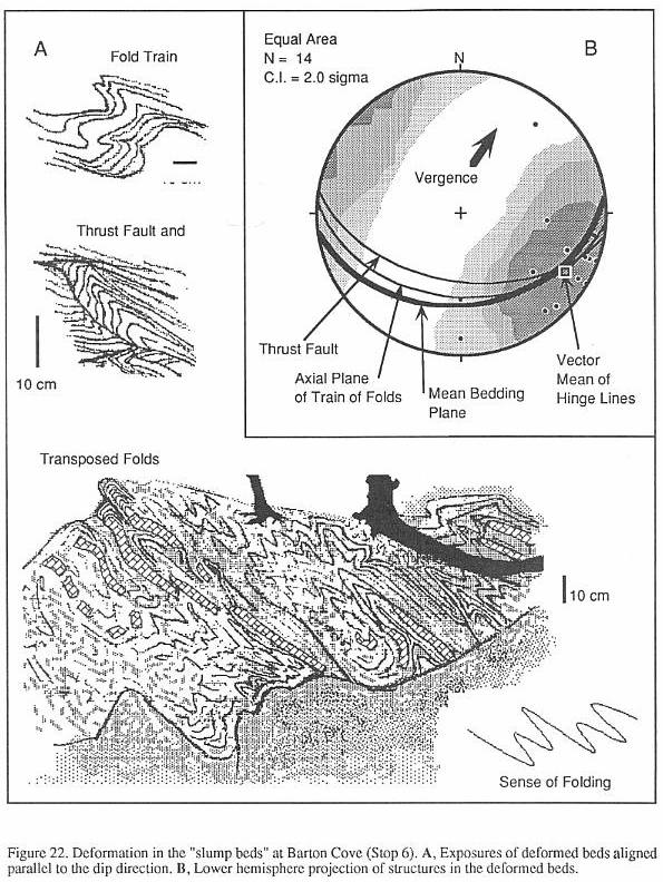 sFig22.jpg (113606 bytes)