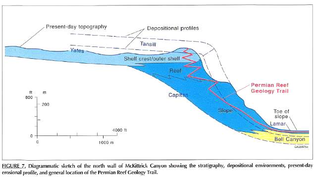 Capitanreef03b.jpg (27079 bytes)