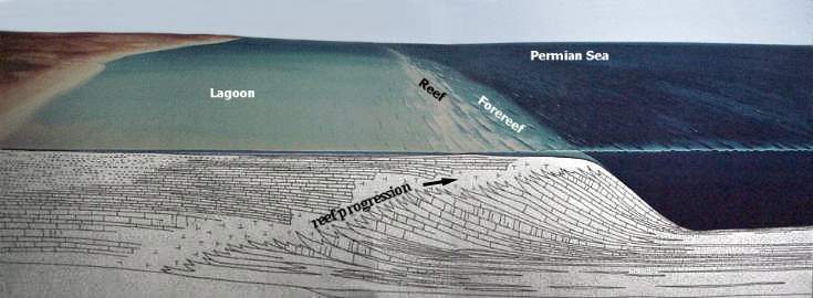 Permreef03.JPG (27730 bytes)