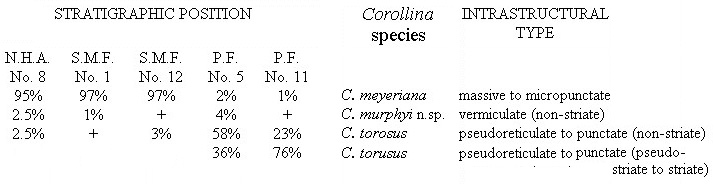 chart1.jpg (48521 bytes)